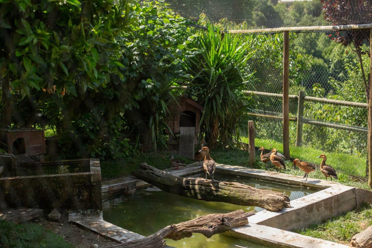 Отель Casa Do Sobrado Вила-Реал Экстерьер фото