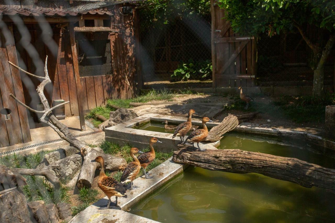 Отель Casa Do Sobrado Вила-Реал Экстерьер фото